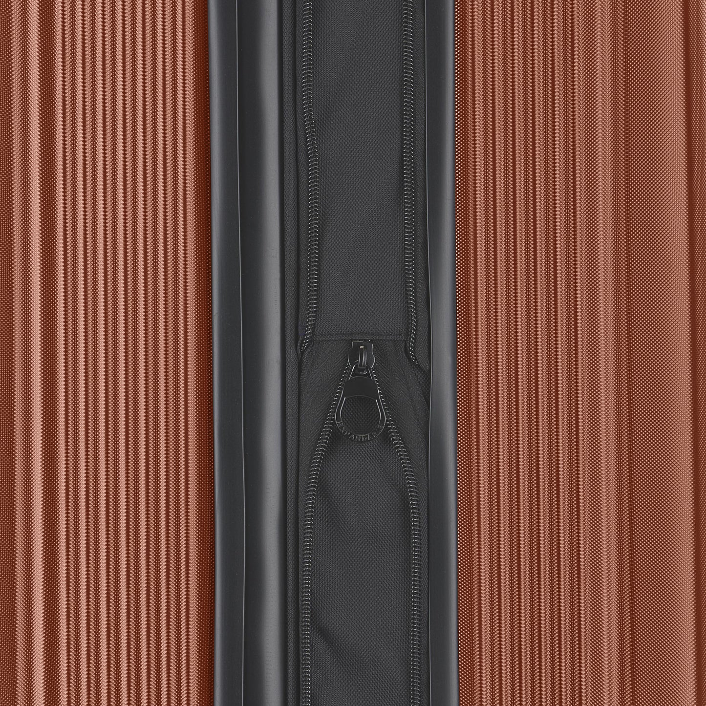 Singapore Check-In Large