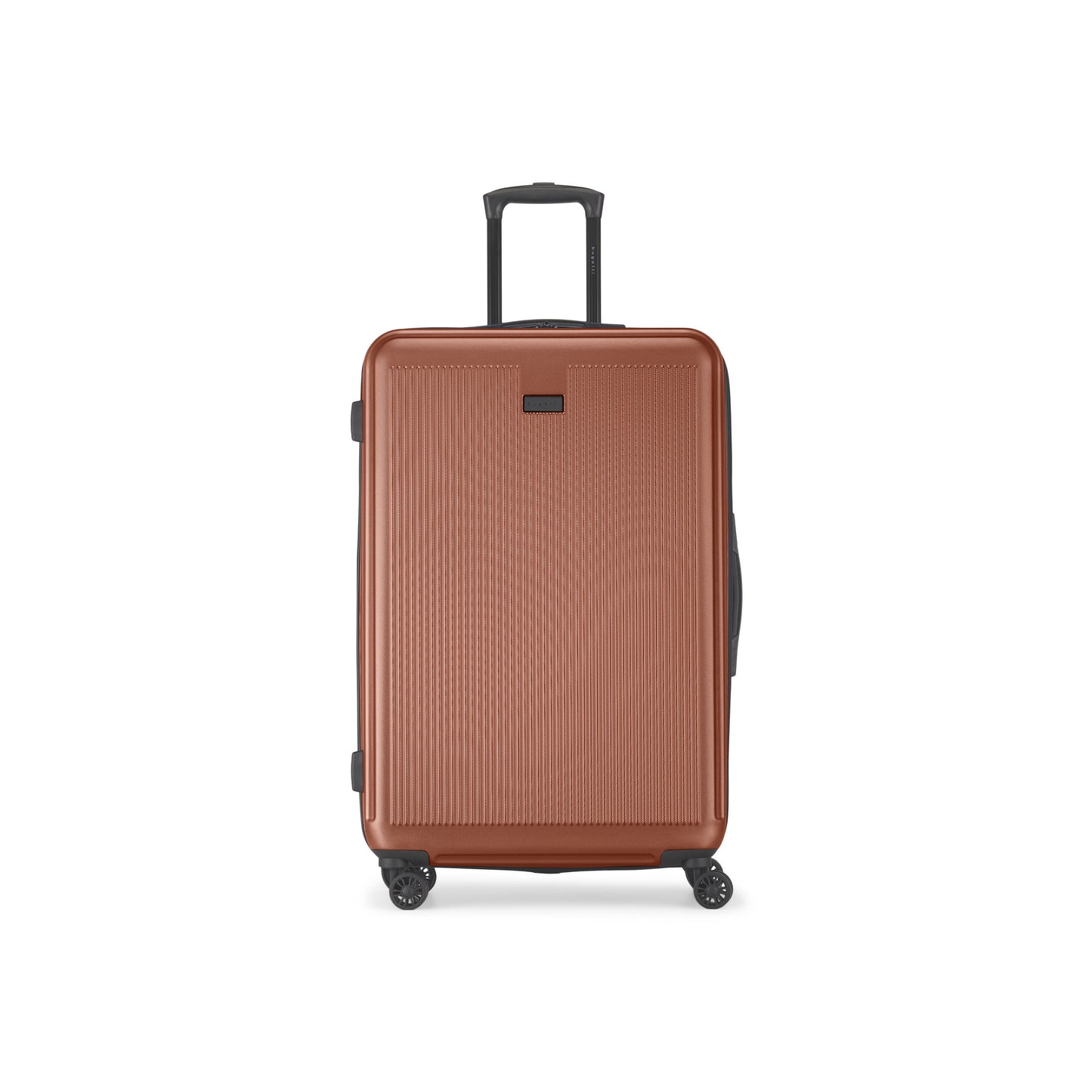 Singapore Check-In Large