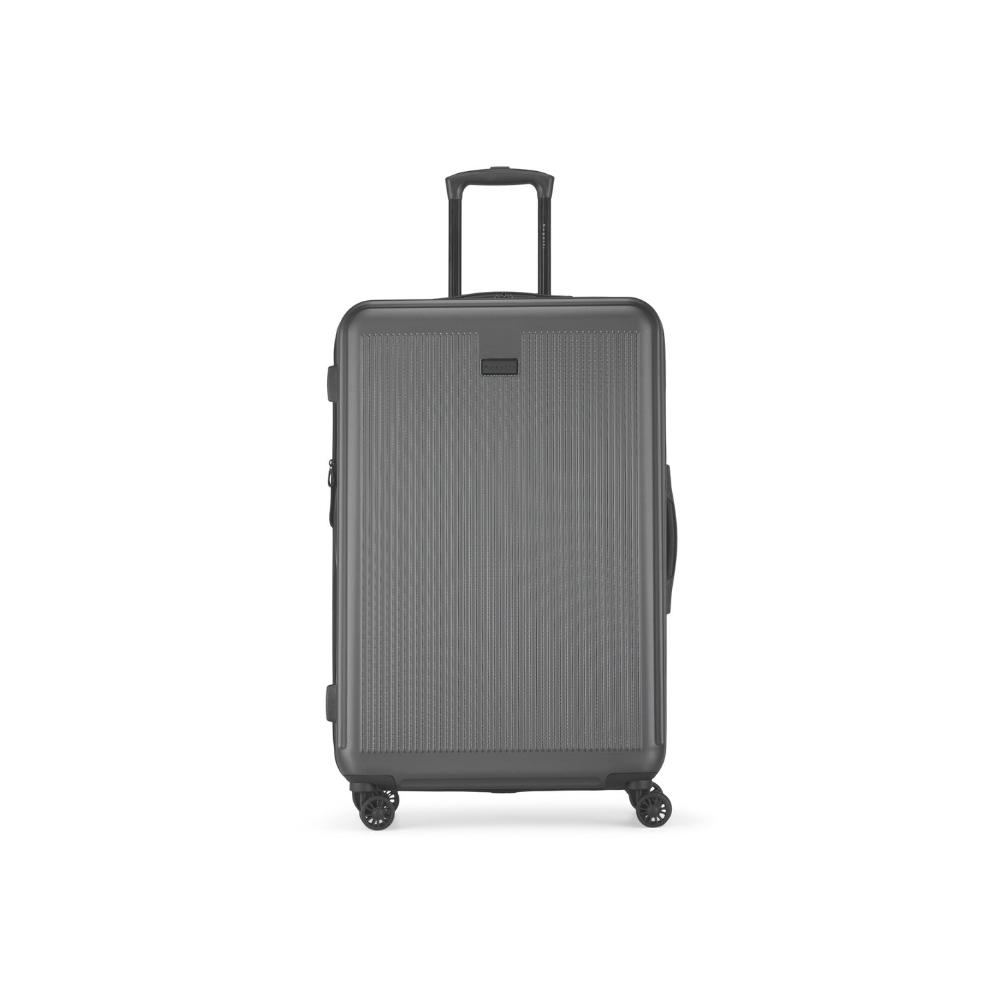 Singapore Check-In Large