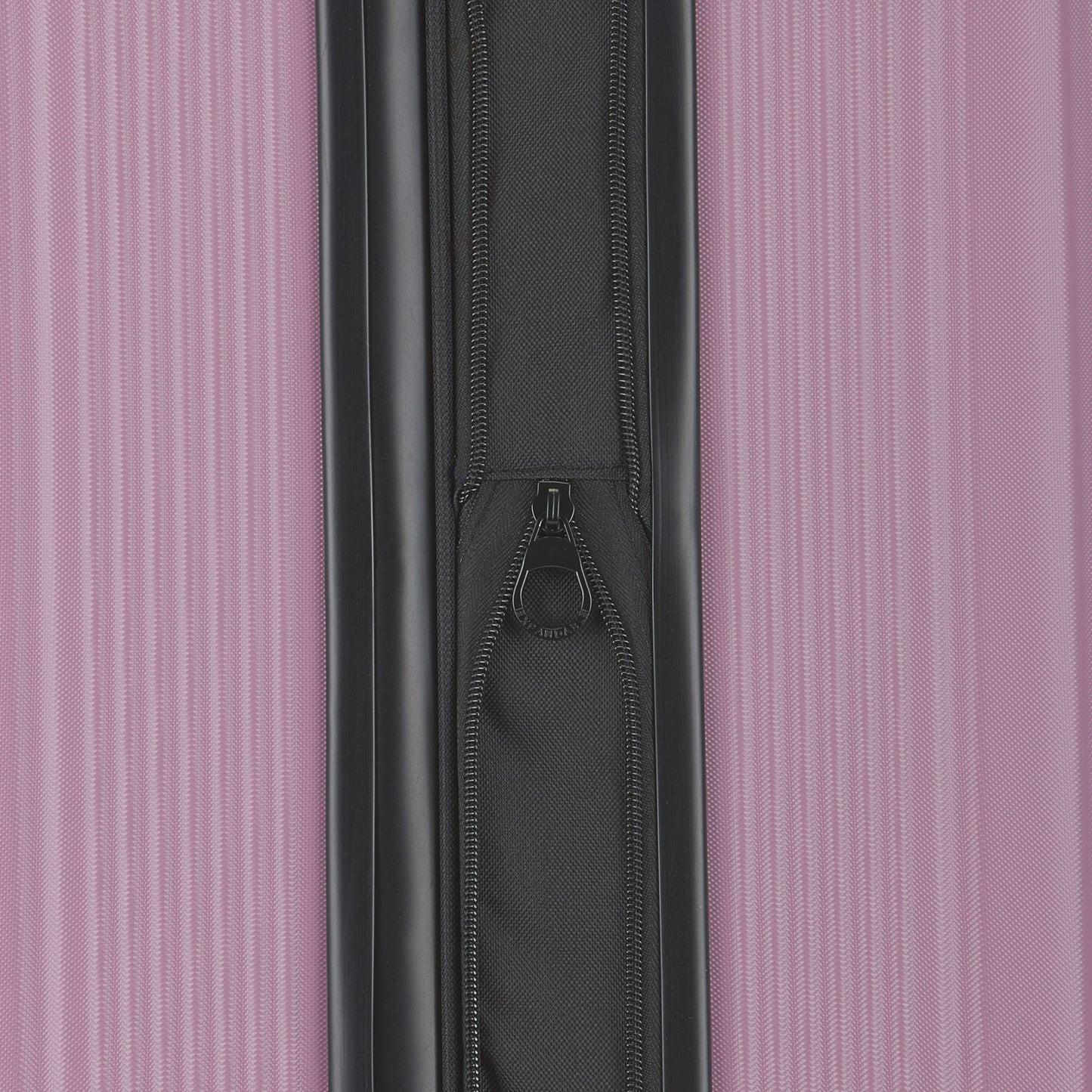 Singapore Check-In Large