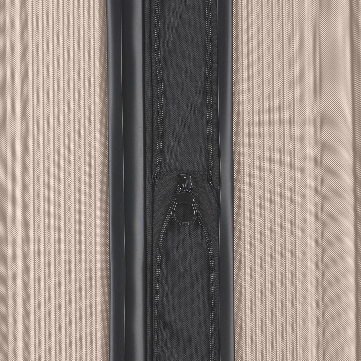 Singapore Check-In Large