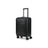 Raphael Carry-On