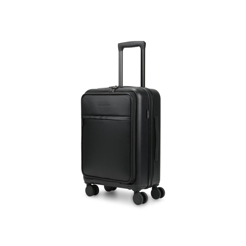 Raphael Carry-On