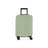 The Classic Carry-on