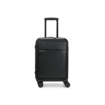 Raphael Carry-On