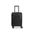 Raphael Carry-On