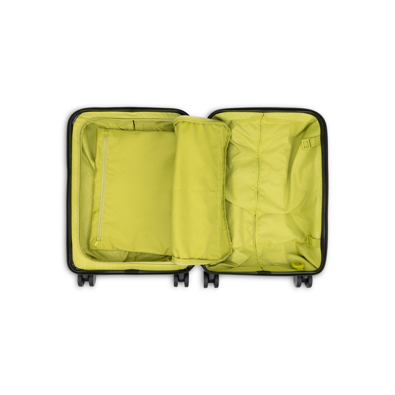 Raphael Carry-On