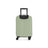 The Classic Carry-on