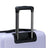 Sofia Check-In Medium